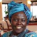 Photo of Wangari Maathai